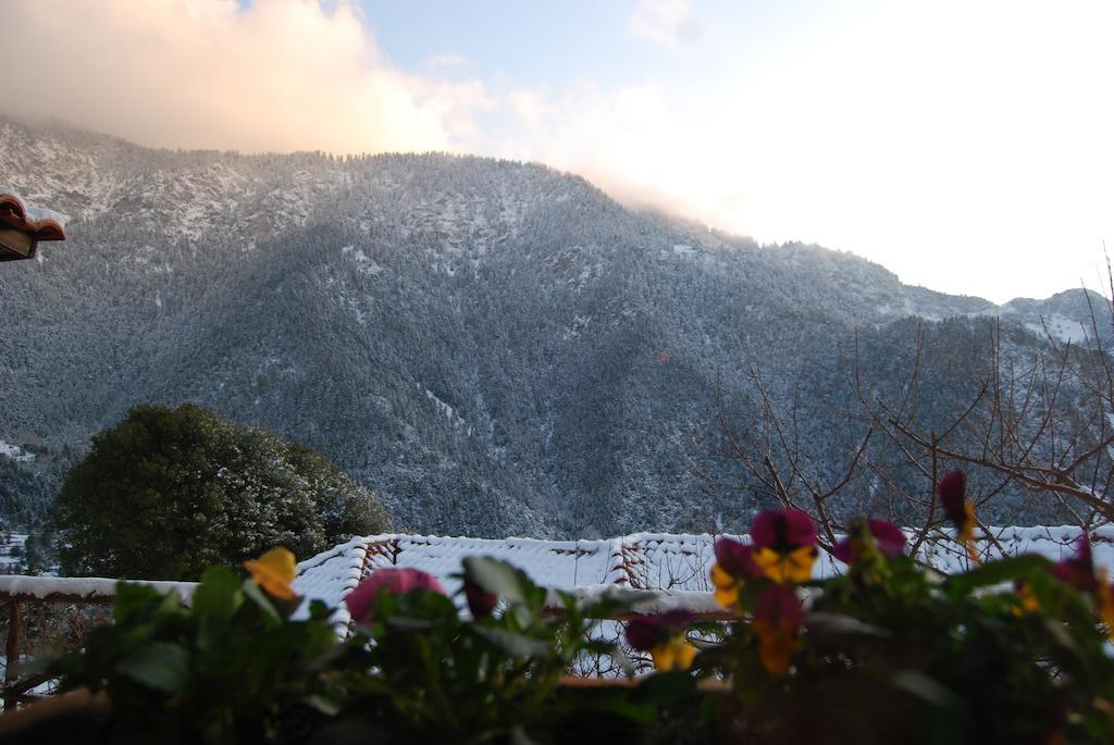 Dryades Guesthouse アノ・コラ 部屋 写真