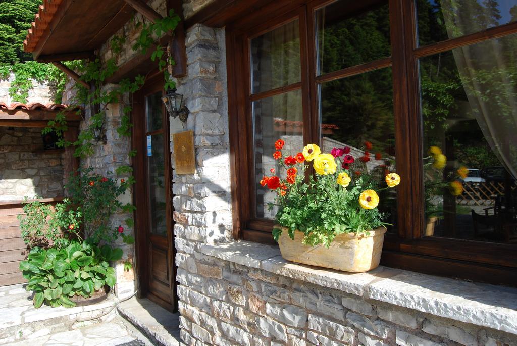Dryades Guesthouse アノ・コラ エクステリア 写真