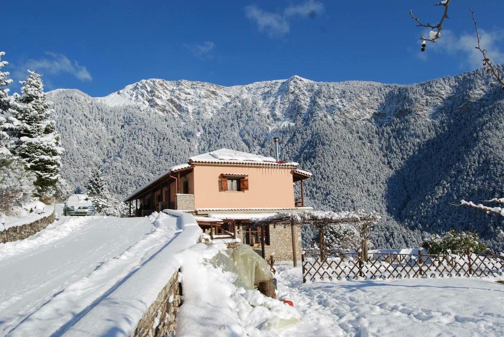 Dryades Guesthouse アノ・コラ エクステリア 写真